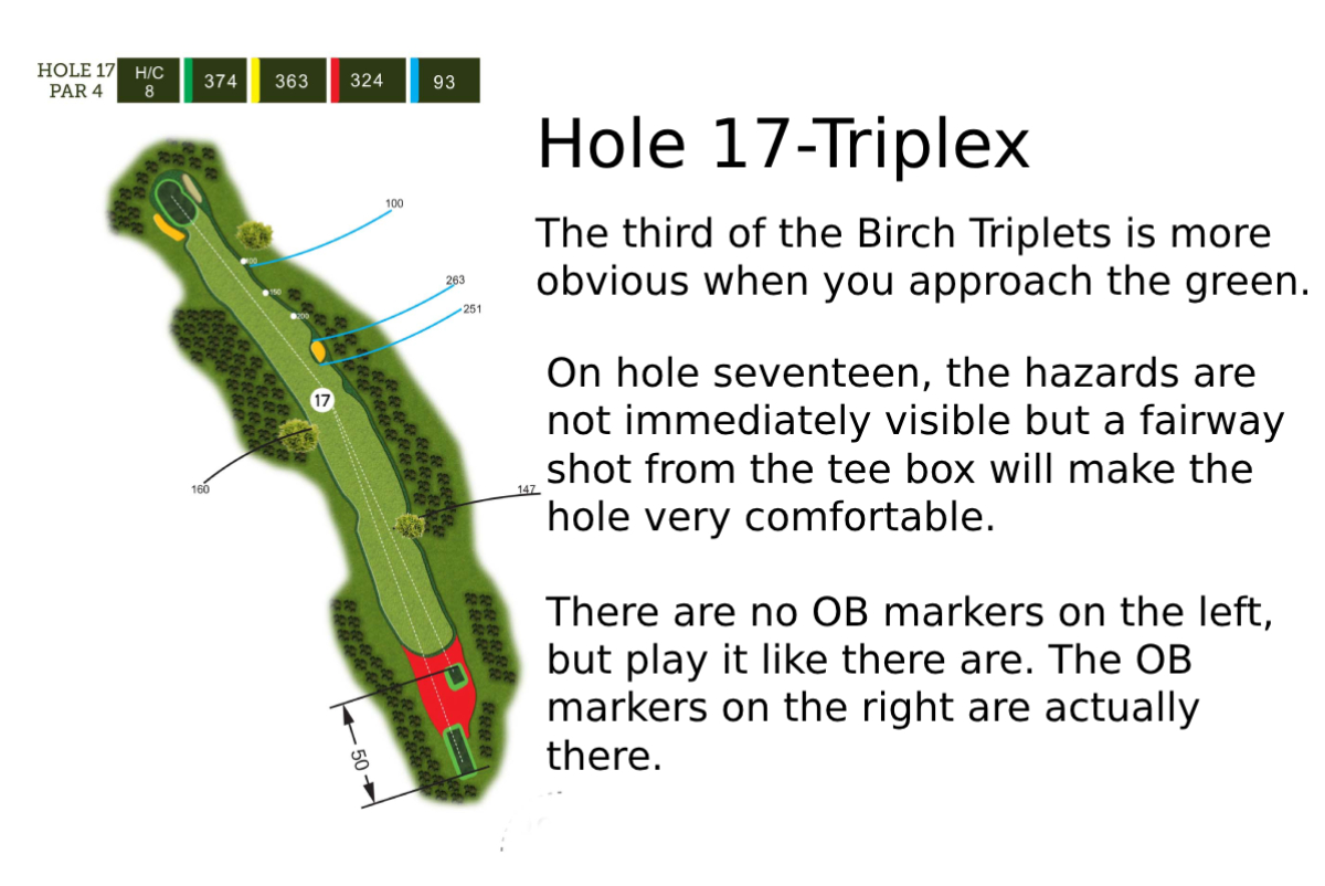Hole-17 (1)
